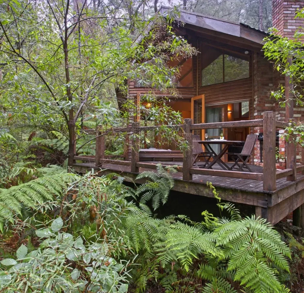 Woodlands Rainforest Retreat