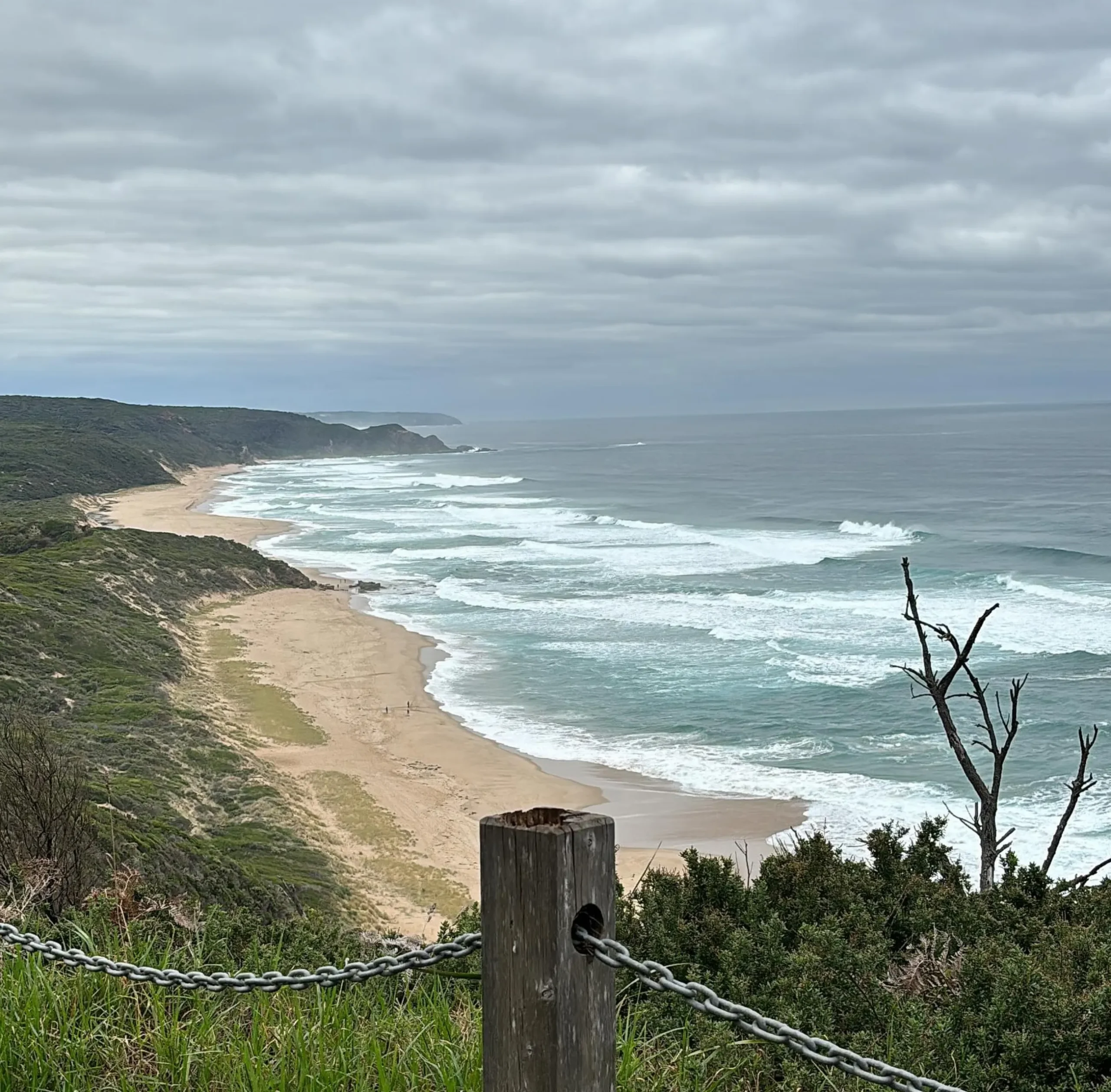 Johanna Beach, Otway Rainforest