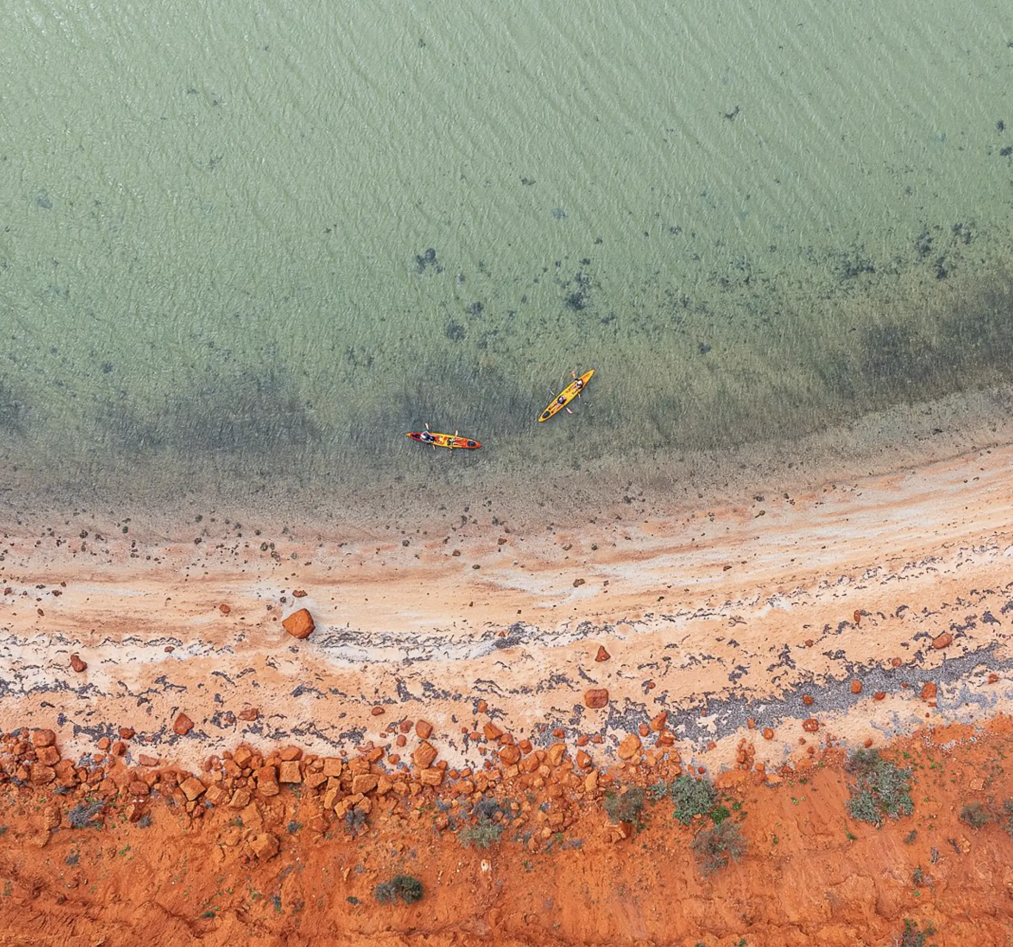 Shark Bay West Australia