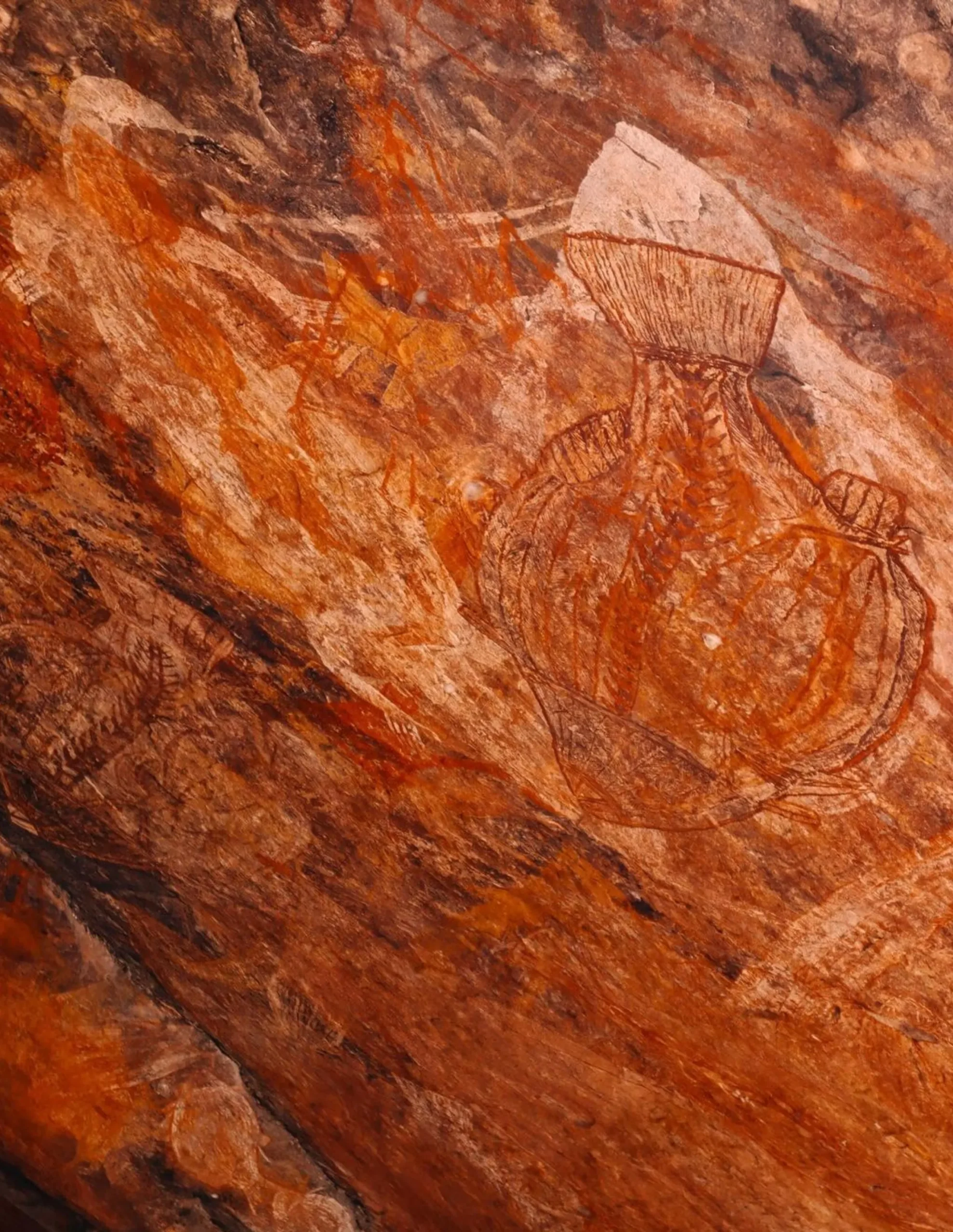 Ancient Rock Art, Kakadu