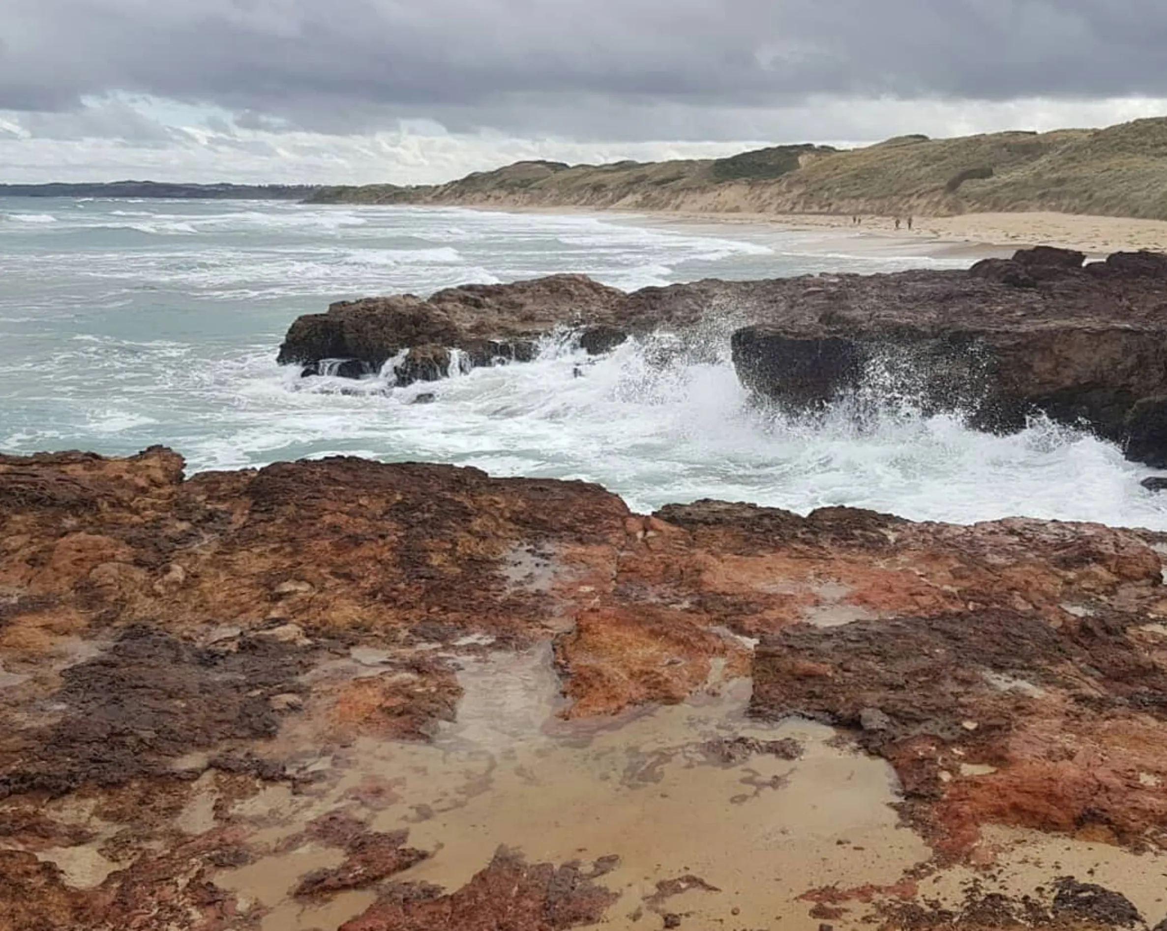 natural landscapes, Phillip Island