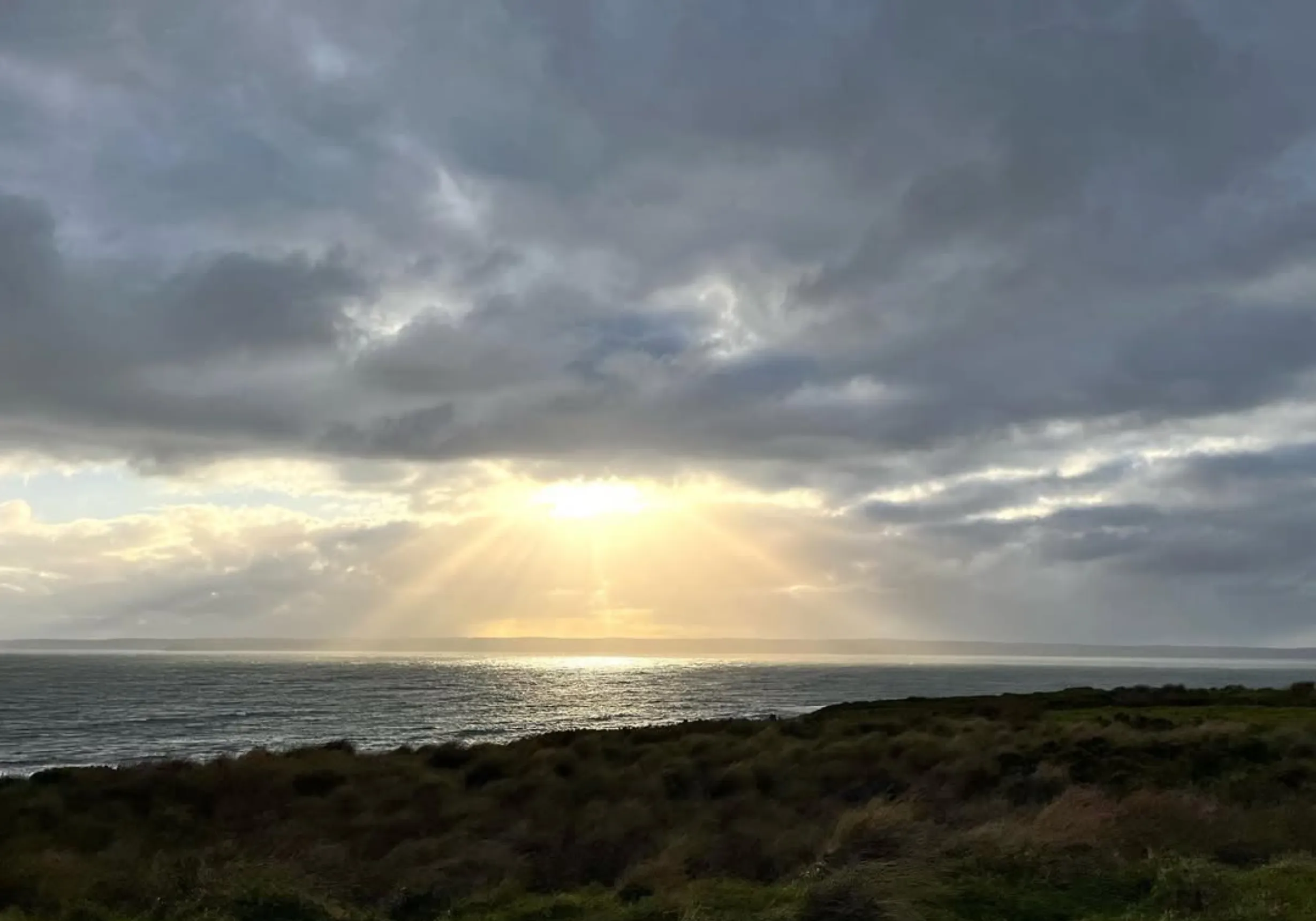 wildlife encounters, Phillip Island
