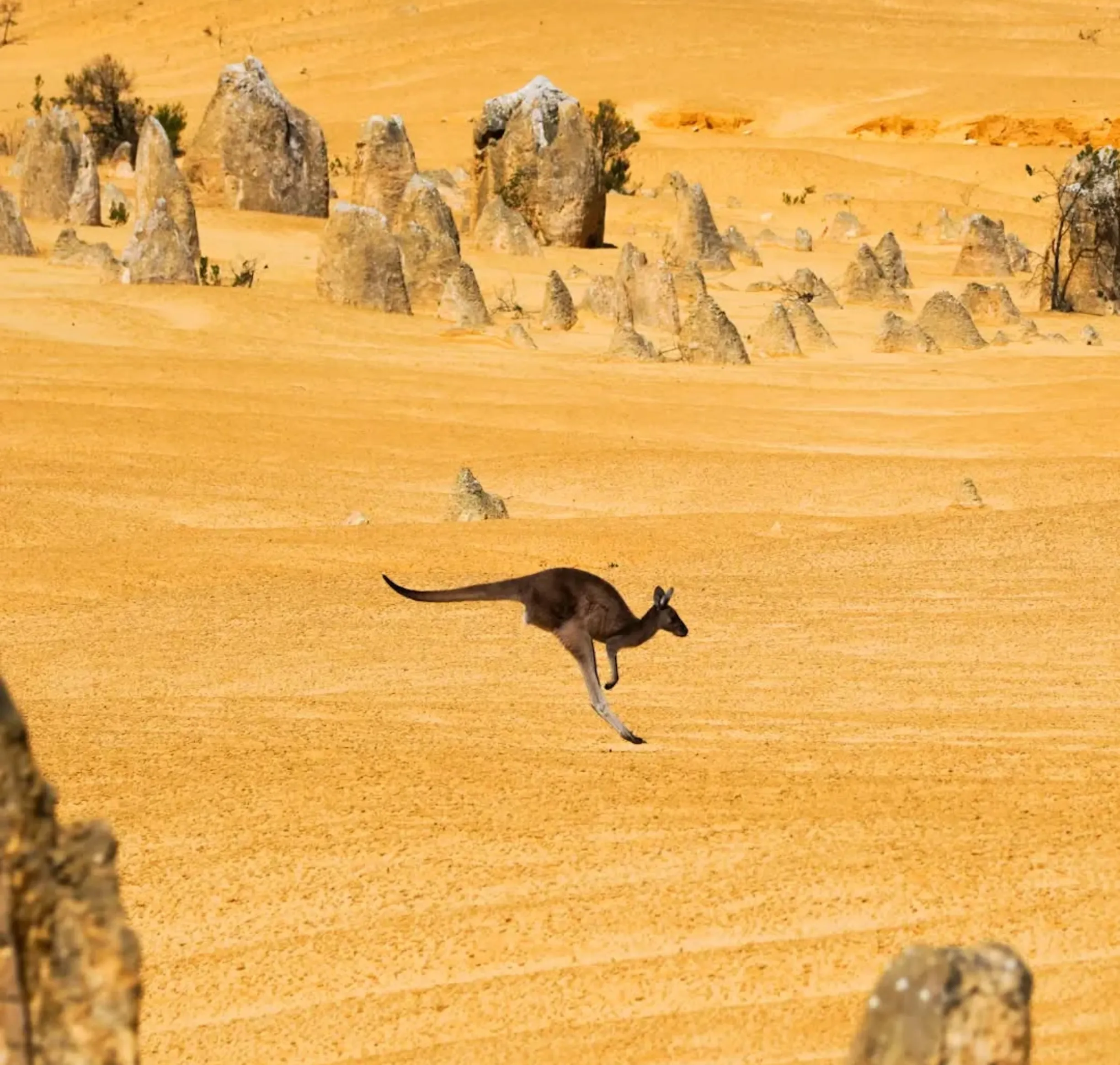 white sand dunes